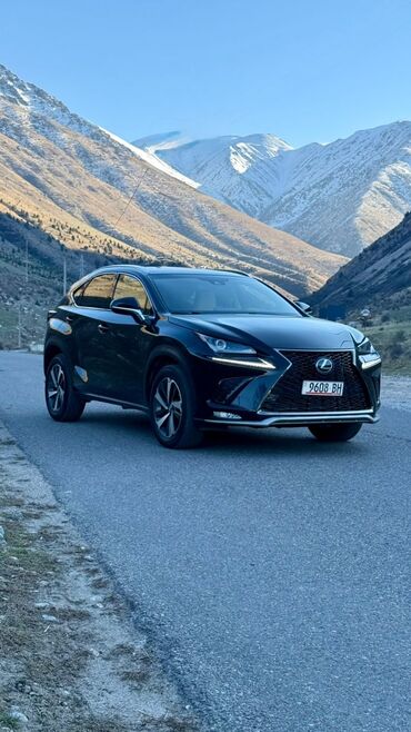 Lexus: Lexus NX: 2018 г., 2 л, Автомат, Бензин, Кроссовер