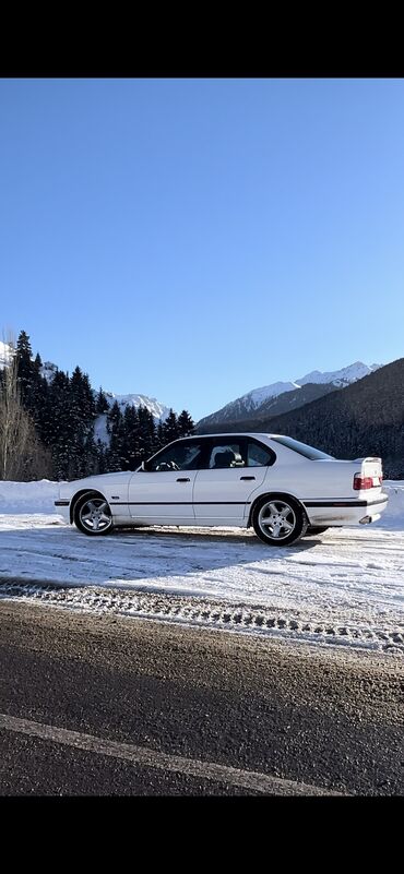 BMW: BMW 5 series: 1993 г., 2.5 л, Механика, Бензин, Седан