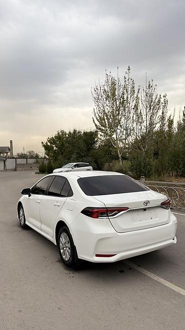 corolla levin: Toyota Corolla: 2020 г., 1.2 л, Бензин, Седан — 7