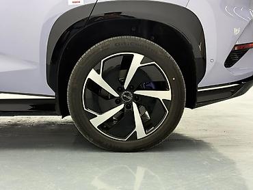 BYD: BYD Sea Lion 07: 2025 г., Кроссовер — 8