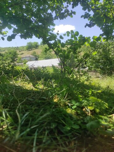 Torpaq sahələrinin satışı: 20 sot, Tikinti, Mülkiyyətçi, Kupça (Çıxarış), Texniki pasport — 5