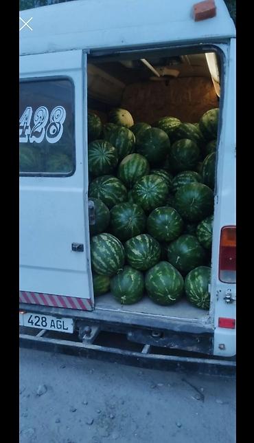 Грузовики: Грузовик, Mercedes-Benz — 5