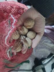 кондитерский шприц: Продаю орехи. 1 мешок