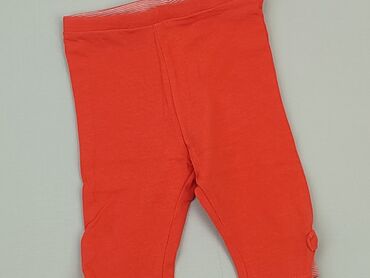 ocieplane legginsy dla dziewczynki 110: Leggings, Zara, 12-18 months, condition - Very good