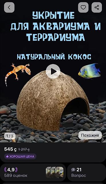 Аквариумдар: Укрытие из натуральной кокосовой скорлупы для аквариумов или — 2