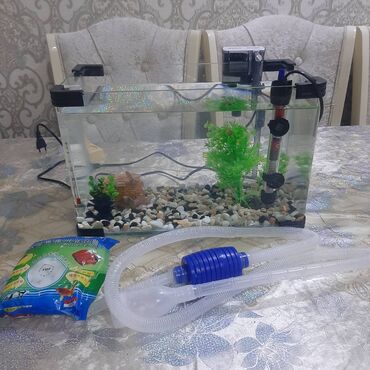 Akvariumlar: Dördbucaq akvarium, Boş, 20 l, Ünvandan götürmə, Ödənişli çatdırılma