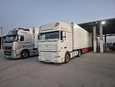 Тягачи: Тягач, DAF, 2008 г., Холодильник, рефрижератор at lalafo.kg — 3 Тягачи: Тягач, DAF, 2008 г., Холодильник, рефрижератор — 3