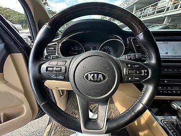 Kia: Kia Carnival: 2020 г., 2.2 л, Автомат, Дизель, Минивэн — 9