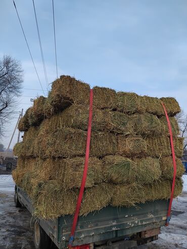 сена беде: Продаю тюки клевера тюки плотные