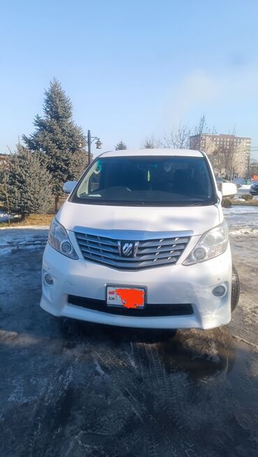 зимнее колесо: Toyota Alphard: 2009 г., 3.5 л, Автомат, Бензин, Вэн/Минивэн