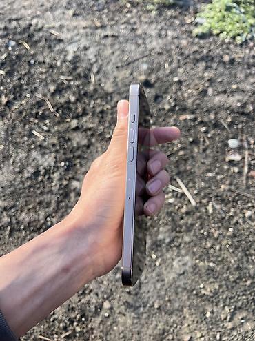 Apple iPhone: IPhone 16 Pro Max, Б/у, 256 ГБ, Desert Titanium, Чехол, 92 % — 12