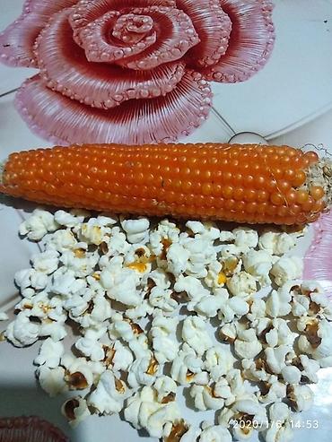 крылышки куриные: Кукуруза для попкорна (зерно) - Специальный сорт кукурузы для — 6