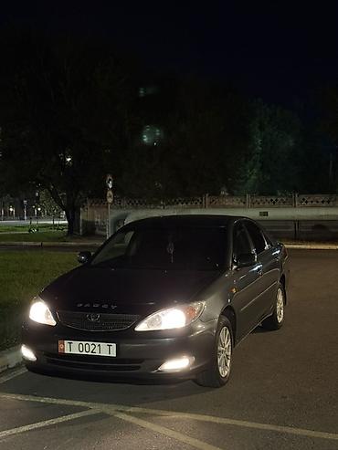 ноускат камри 30: Toyota Camry: 2003 г., 2.4 л, Автомат, Бензин, Седан — 1