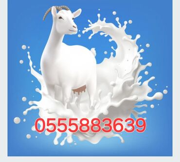 ханимага кофе: Продаю козье молоко.Город Кара-Балта улица Шопокова 83.Цена 100 сом за