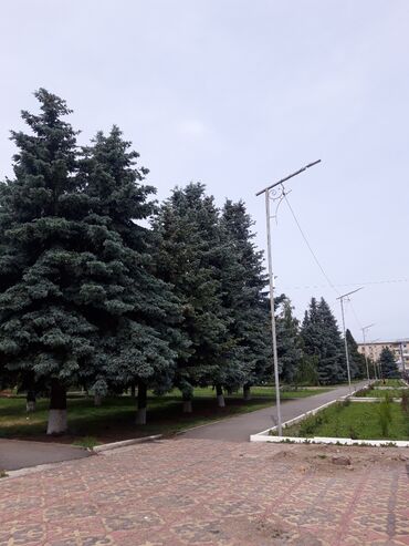 участок в военно антоновка: 45 соток, Курулуш
