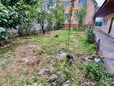 Долгосрочная аренда домов: 250 м², 6 комнат и более — 18