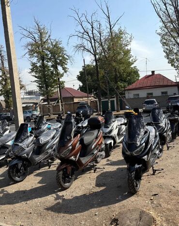 Mazda: Mazda 6 MPS: 2024 г., 0.3 л, Механика, Дизель — 5