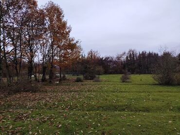 Torpaq sahələrinin satışı: 18 sot, Kənd təsərrüfatı, Mülkiyyətçi, Bələdiyyə — 1