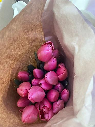 Букеты из живых цветов: Тюльпаны в крафт-упаковке - Срезанные тюльпаны с плотным бутоном — 5