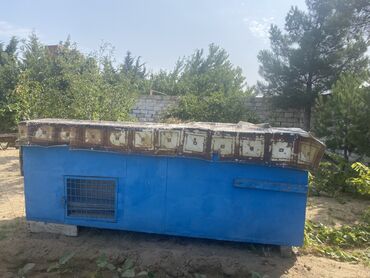 Грызуны: Mavi rəngdə, metal və taxta konstruksiyadan hazırlanmış bu qəfəs