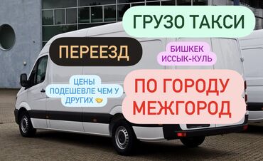 Портер, грузовые перевозки: Бус, Вывоз бытового мусора, По региону, с грузчиком