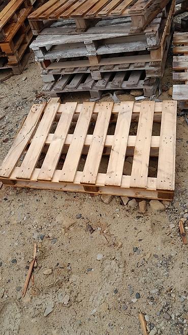 pip ağacı: Pallet, 800 х 1200 sm, Ödənişli çatdırılma — 10