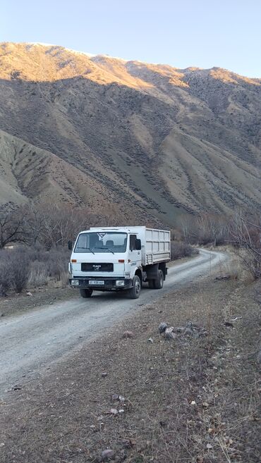 Грузовики: Грузовик, MAN, Дубль, 7 т — 9