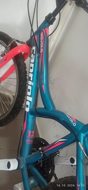 Dečiji bicikli: Dečiji bicikli — 12