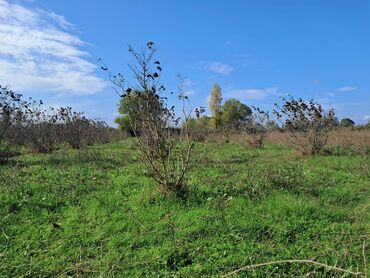 Bağ evlərinin satışı: Xaçmaz, 2 kv. m, 1 otaqlı, Hovuzsuz, Qaz, Su, İşıq — 4