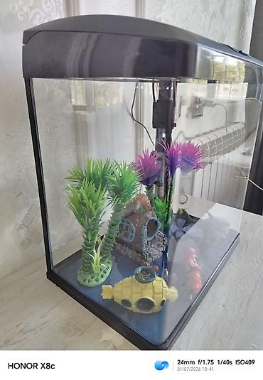 akvarium satilir: Tezedi zavod istehsalıdi bütün aksesuarlariyla birlikdə satilir — 2