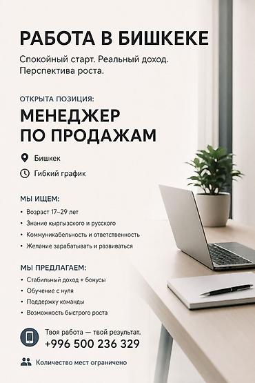 high experience: Вакансия: Продавец‑консультант / Менеджер по продажам Город: Бишкек — 2