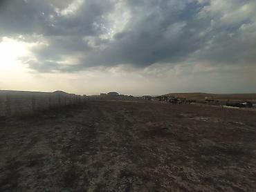 Torpaq sahələrinin satışı: 12 sot, Kupça (Çıxarış) — 4