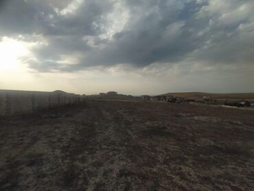 Torpaq sahələrinin satışı: 12 sot, Mülkiyyətçi, Kupça (Çıxarış) — 4