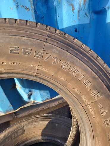 шины r19: 265/70 R19,5 пара беговые перед. сост.хор