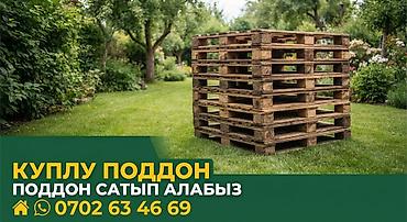 деревянные потдоны: Куплю паддоны 
паддон сатып алабыз — 1