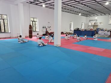 İdman döşəkləri və xalçaları: Tatamiler,rezin yer dowemeleri(geranol),gulew doweyinin — 13