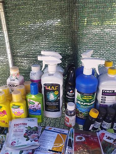 Другие садовые цветы и кустарники: Садовый центр/питомник растений и товаров для сада - Широкий выбор — 5