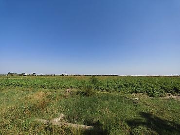 saray heyet ev type 1: 300 sot, Kənd təsərrüfatı, Mülkiyyətçi, Kupça (Çıxarış) — 6