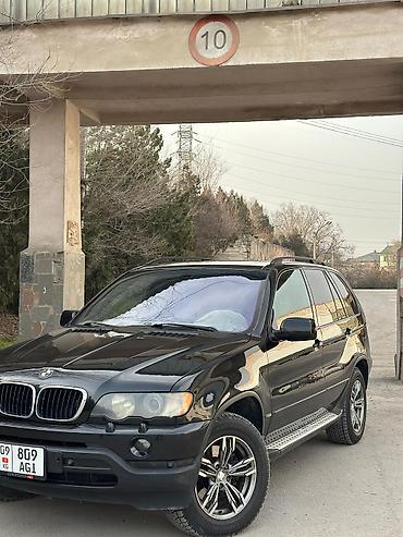 BMW: BMW X5: 2002 г., 3 л, Автомат, Дизель, Кроссовер — 15