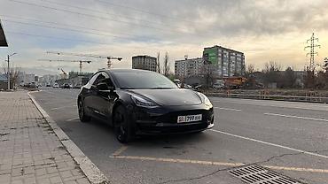 велтмейстер электромобил: Tesla Model 3: 2019 г., Автомат, Электромобиль, Седан — 1