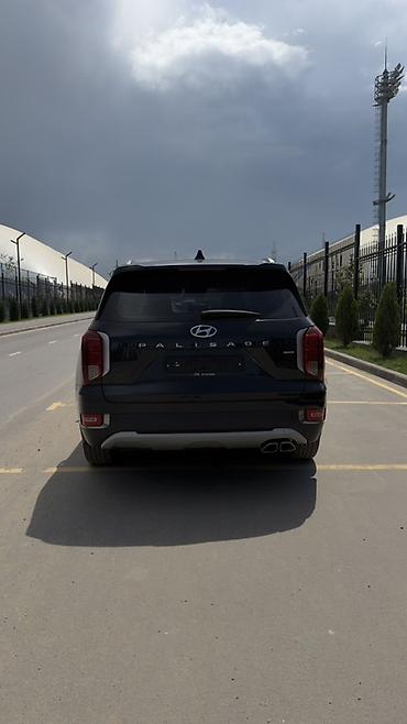 palisade: Hyundai Palisade: 2019 г., 2.2 л, Автомат, Дизель, Кроссовер — 6