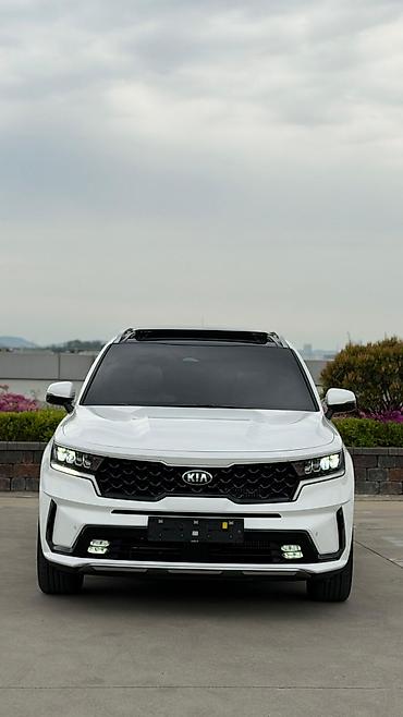Kia: Kia Sorento: 2020 г., 1.6 л, Автомат, Гибрид — 3