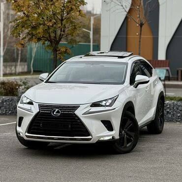 Lexus: Lexus NX: 2018 г., 2.5 л, Типтроник, Гибрид, Кроссовер