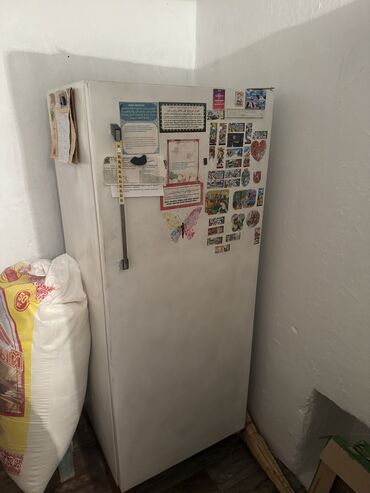 холодильная: Холодильник