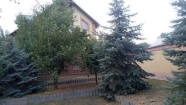 Долгосрочная аренда домов: 🏡 СДАЁТСЯ ПРОСТОРНЫЙ ДОМ В ЦЕНТРЕ БИШКЕКА ✨ 📍 Район Советская / — 22