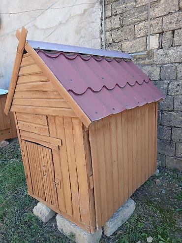 heyvanların sexsi: Böyük it yuvasıdır,taxtadan yığılıb laklıdır,qapısıda var.Ölçüləri — 3
