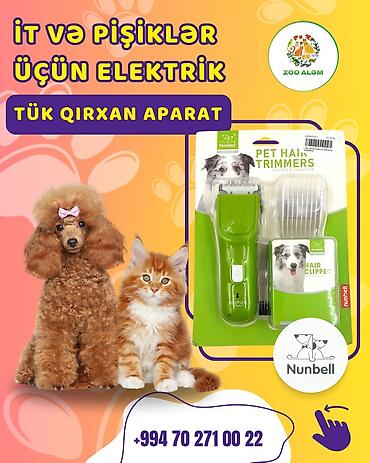 kopək: İt və pişiklər üçün elektrik tük qırxan aparat – Nunbell Pet Hair — 1