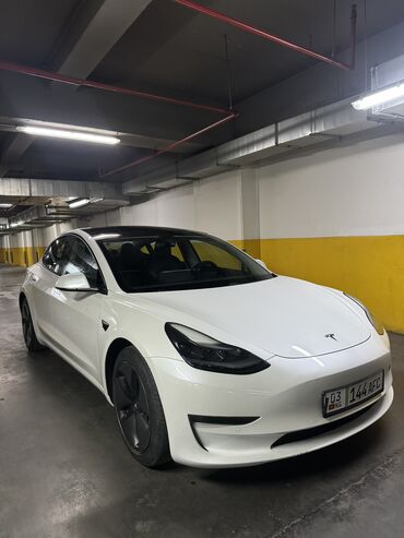 Tesla: Tesla Model 3: 2021 г., 10 л, Автомат, Электромобиль, Седан