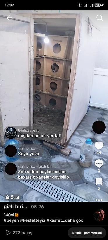 göyərçin yuvaları: Göyərçin yuvası satılır hündürlüyü 1.50 eni 1.30 uzunu 1. 50 Hər yani — 1