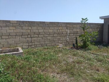 Həyət evləri və villaların satışı: 3 otaqlı, 700 kv. m, Orta təmir — 5